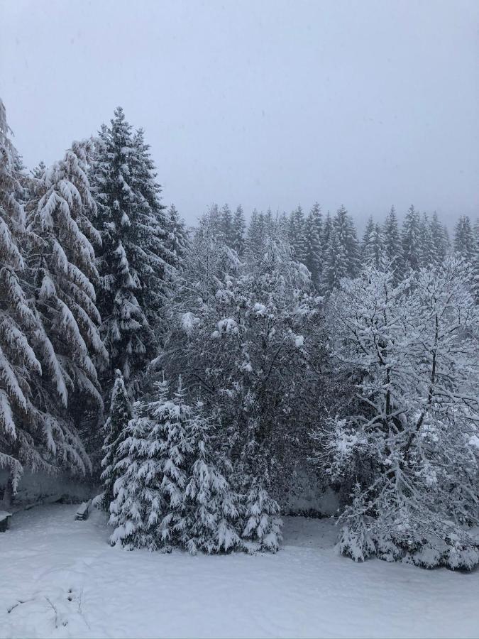 Le Chalet Du Narouel Gérardmer Buitenkant foto